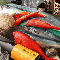 当店の鮮魚