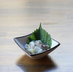 たこわさび