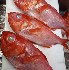 鮨レストラン大政のコース写真