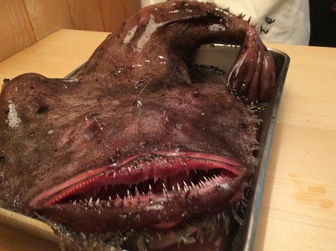 鮟鱇鍋コース10800円税込（2名様より）