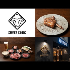 SHEEP GANG シープ ギャングの写真