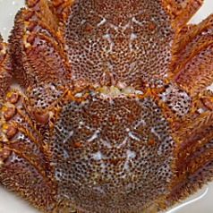 味路のコース写真