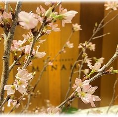 レストランMINAMIのコース写真