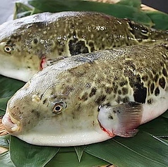 漁港直送鮮魚居酒屋 たちうお 人形町本店のコース写真