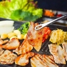 サムギョプサル&チーズタッカルビ食べ放題 明洞ポチャ 新宿本店のおすすめポイント1