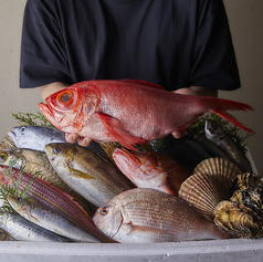 博多炉端 魚松の特集写真