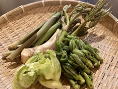 Dining&Bar 海と山の幸のおすすめ料理1
