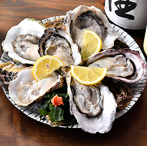 馬刺しと牡蠣酒場 ヨツバ 二子玉川店