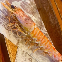 カジュアルジビエ酒場イノシカブームのおすすめ料理3