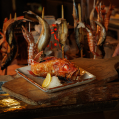 またこよ 千葉店の写真