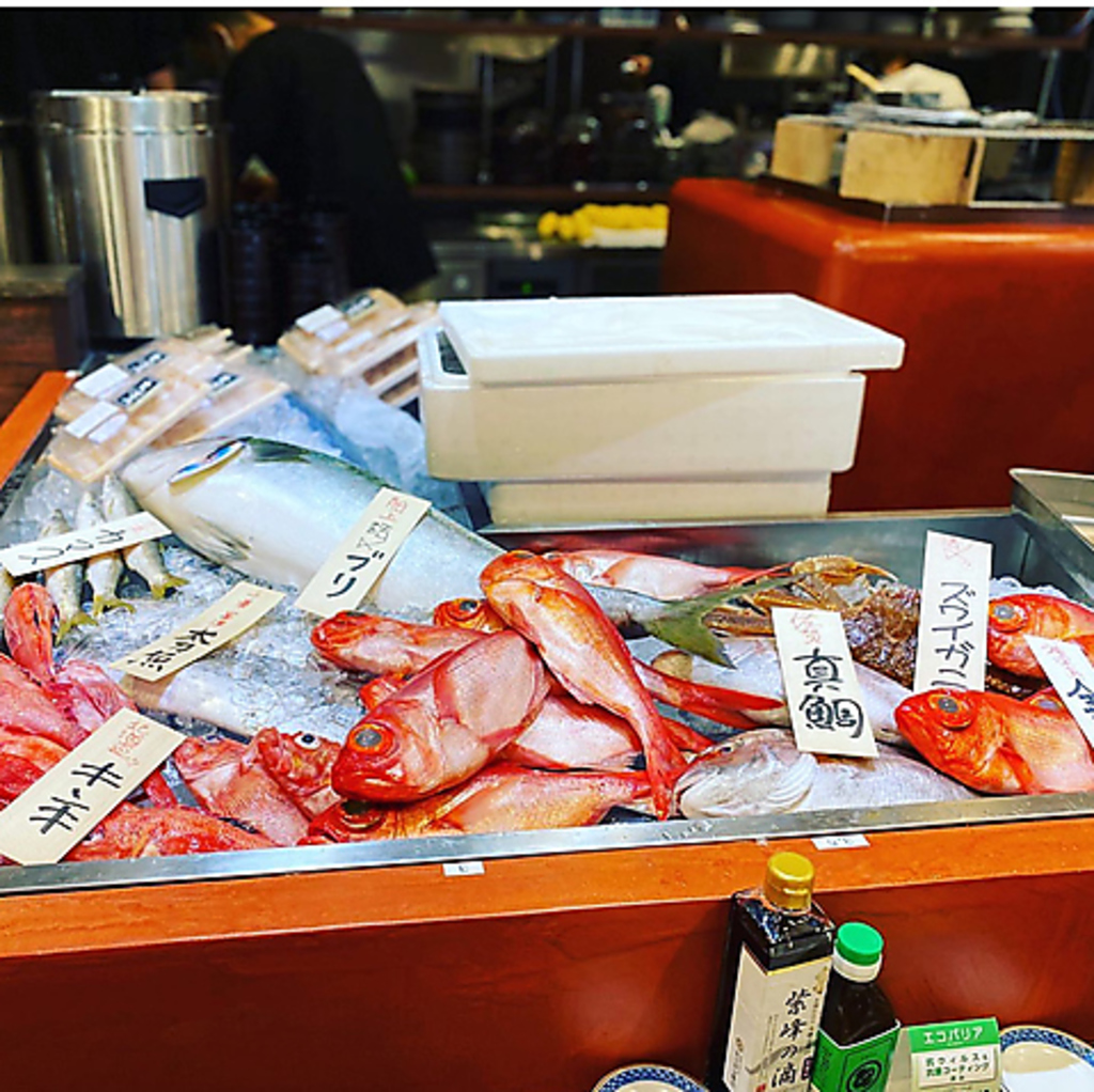 店長自らが目利きした旬の鮮魚をご提供◎お刺身やフライ、炉端焼きなどでご堪能いただけます！