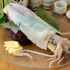 イカの姿造り（長崎産）