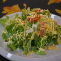料理メニュー写真&nbsp;彩美人MIMOZAサラダ