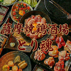 薩摩焼鶏酒場 とり魂の写真