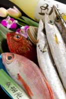 柳橋市場より新鮮な旬の魚