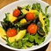 アボカドとパクチーの野菜サラダ