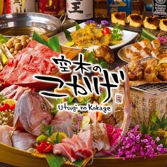 創作居酒屋 空木のこかげ