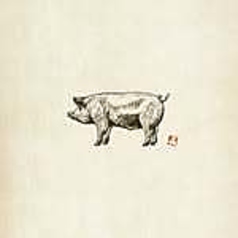 かんばんないやのコース写真