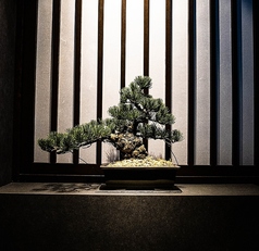 焼肉よいんのコース写真