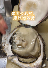 北浦の天然殻付き岩牡蠣