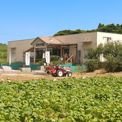 芋畑の中にある菓子工房で作っています。