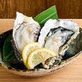 料理メニュー写真&nbsp;藤田敦が作る渾身の牡蠣　生・蒸し　1個