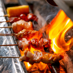 焼鳥とまり木の特集写真
