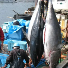 旬魚亭のおすすめ料理2