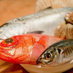 魚deバール ウオチカ。の特集写真