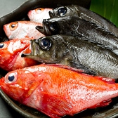 割烹 肉膳 光月のおすすめ料理2