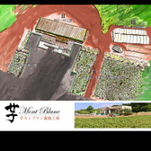 目指しているのは、ワイナリーのような工房です。ハウスの苗床から、圃場、芋モンブラン加工所の全てを体感できる場所を目指しています。