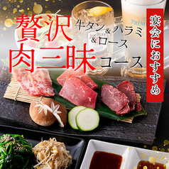 Bistro SAPANA ビストロサパナのコース写真