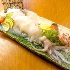 【名物】イカの姿造り イカ一杯を丸ごと刺身にした豪快な逸品。