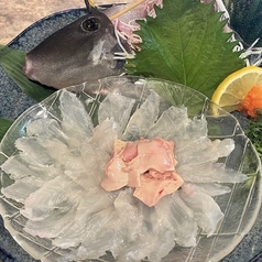 活きカワハギ姿造り