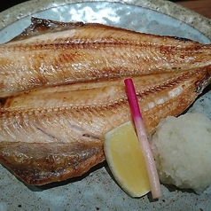 縞ほっけ焼（特大）