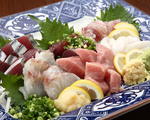【駿河湾の恵をお刺身で】生桜海老やマグロなど、その日のお勧めをお刺身でどうぞ♪