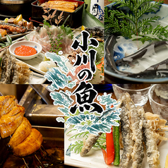 小川の魚の写真