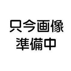 Pomo ポモの特集写真
