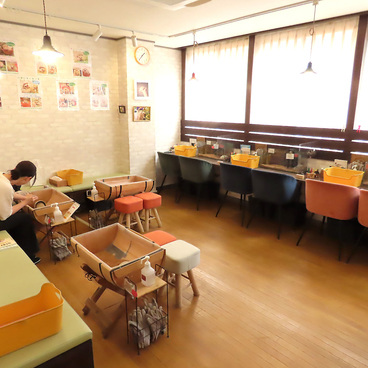 ハリネズミ専門カフェ HARRY WOOD ハリーウッド 名古屋栄店の雰囲気1