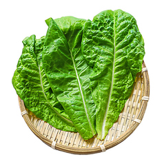 [食べ放題]肉厚サンチュ