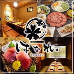 居酒屋 はなれ 北千住店の写真