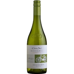 Cono Sur Sauvignon Blanc