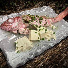 肴座　円陣の特集写真