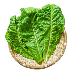 [食べ放題]サニーレタス