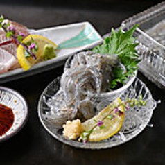 朝どれ！湘南生しらす