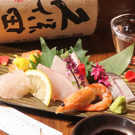 彩り豊かな海の恵みを満喫♪