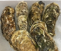 殻付き生牡蠣