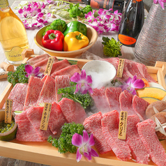 焼肉酒場 たんがほるもん 小倉魚町特集写真1