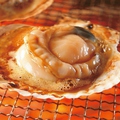 料理メニュー写真 ホタテ（特大）/牡蠣焼き　2個/ハマグリ焼き（特大）