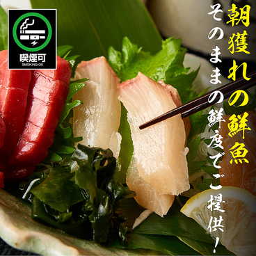 隠居亭 新宿店のおすすめ料理1